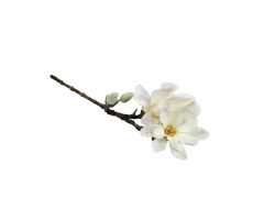 Magnoliatak L62cm Wit
