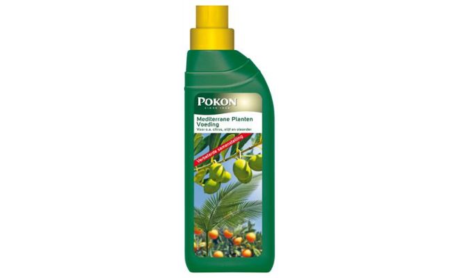 Mediterrane planten voeding, Pokon, 500 ml - afbeelding 1