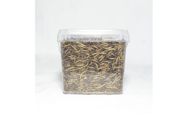 meelwormen 1,2 liter