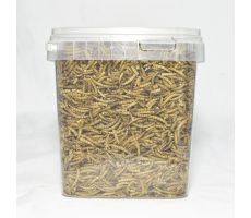 meelwormen 2,5 liter