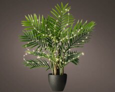 Microled, plant, 60 lights warm wit, batterij, Led kerstverlichting