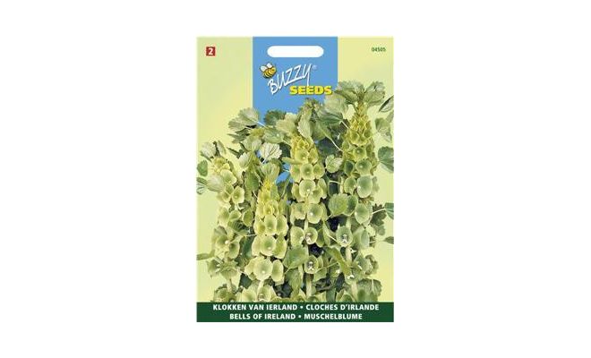 Molucella grn belacht. bloem 0.75g - afbeelding 1