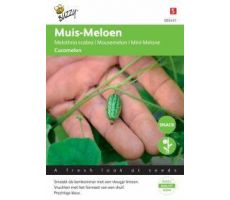 Muis meloen cucamelon 15zdn