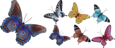 muurdecoratie vlinders, per stuk - afbeelding 3