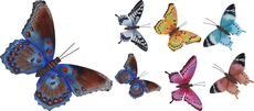 muurdecoratie vlinders, per stuk - afbeelding 3
