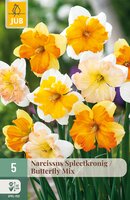 Narcissus Butterfly Mix, 5 stuks