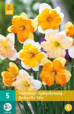 Narcissus butterfly mix 5 stuks