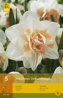 Narcissus delnashaugh 5st - afbeelding 4