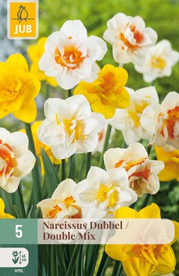 Narcissus Dubbel Mix, 5 stuks