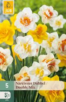 Narcissus Dubbel Mix, 5 stuks