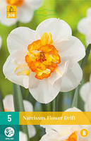 Narcissus flower drift 5st - afbeelding 2