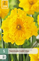Narcissus Gold Disc, 5 stuks