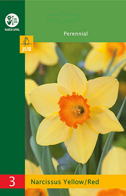 Narcissus grootkronig geel/rood 3st - afbeelding 1