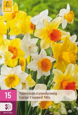 Narcissus Grootkronig Mix, 15 stuks