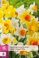 Narcissus Grootkronig Mix, 15 stuks