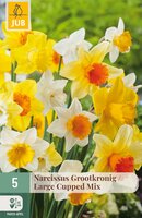Narcissus Grootkronig Mix, 5 stuks