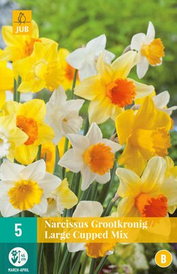 Narcissus grootkronig mix 5 stuks