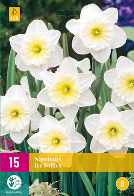 Narcissus ice follies 15st - afbeelding 1