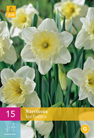 Narcissus ice follies 15st - afbeelding 2