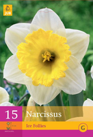 Narcissus ice follies 15st - afbeelding 3