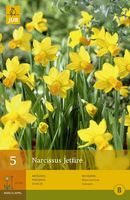 Narcissus jetfire 5st - afbeelding 2