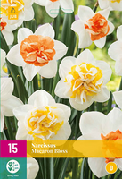Narcissus macaron bloss 15st - afbeelding 1
