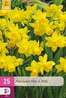 Narcissus Tête-à-Tête, 25 stuks