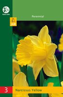 Narcissus trompet geel 3 stuks