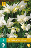 Narcissus white marvel 5st - afbeelding 1
