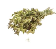 Nigella orientalis in hoes 250g - afbeelding 2