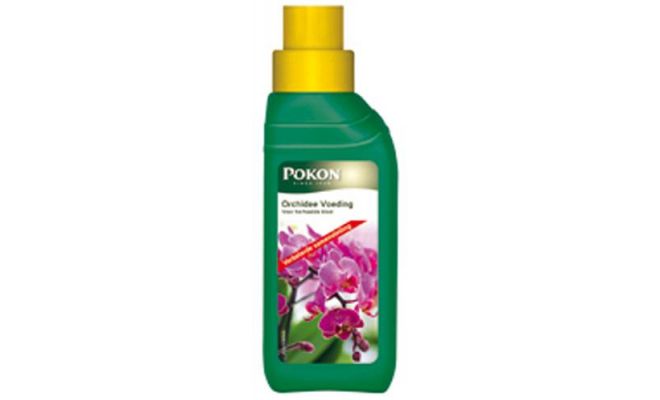 Orchidee voeding, Pokon, 250 ml - afbeelding 1