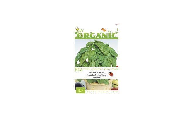 Organic basilicum genovese 1g