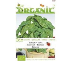 Organic basilicum genovese 1g