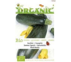 Organic courgette black beauty 2g