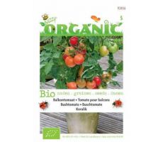 Organic hangtomaat koralik 10zdn