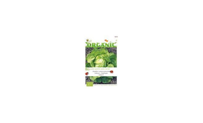 Organic kropsla hilde 1g