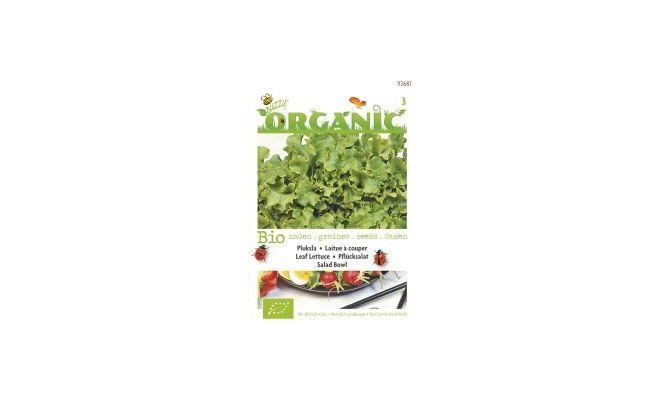Organic pluksla green salad bowl 1g