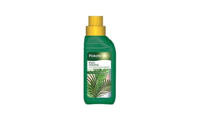 Palm voeding, Pokon, 250 ml - afbeelding 1