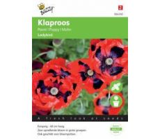 Papaver lady bird 0.5g