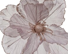 Papaver op clip polyester, assortie, Ø 27 cm x H 10 cm, keuze uit 1 stuks - afbeelding 2