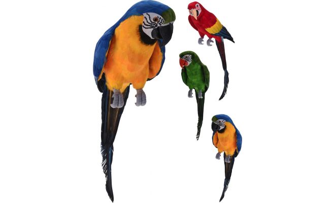 Papegaai, l 65 cm, b 16 cm, h 16 cm, meerdere variaties