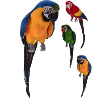 Papegaai, l 65 cm, b 16 cm, h 16 cm, meerdere variaties