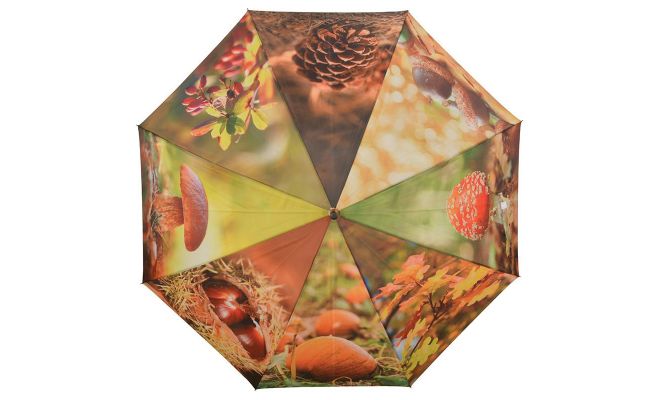 Paraplu herfstprint