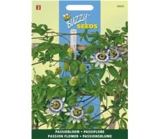 Passiflora coerulea 0.33g - afbeelding 2