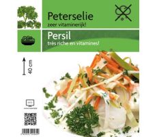 Peterselie, Petroselinum Crispum - afbeelding 2