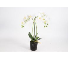 Phalaenopsis 2-tak h53cm wit, kunstplant