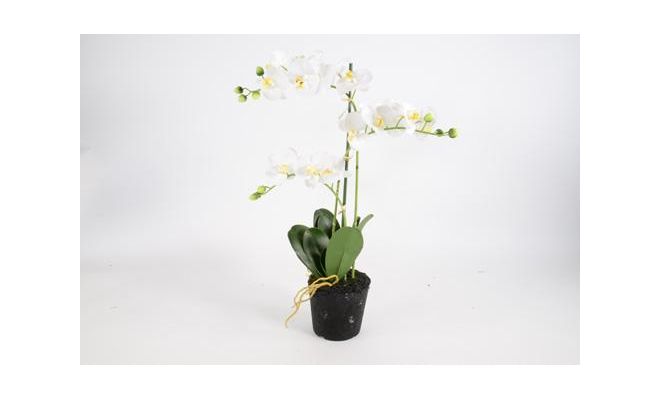 Phalaenopsis 3-tak h63.5cm wit, kunstplant