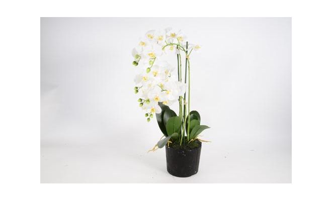 Phalaenopsis 5-tak h68.5cm wit, kunstplant