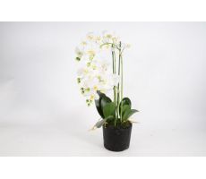 Phalaenopsis 5-tak h68.5cm wit, kunstplant