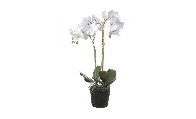 Phalaenopsis op kluit h70cm wit, kunstplant